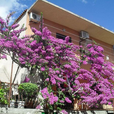 Apartments Katica ماكارسكا المظهر الخارجي الصورة